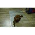 Good Sales PVC Non Slip Plastic Floor Mat